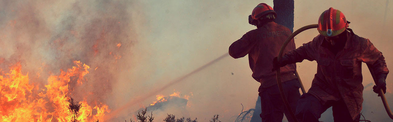 PROJETOS DE PREVENÇÃO E COMBATE A INCÊNDIO